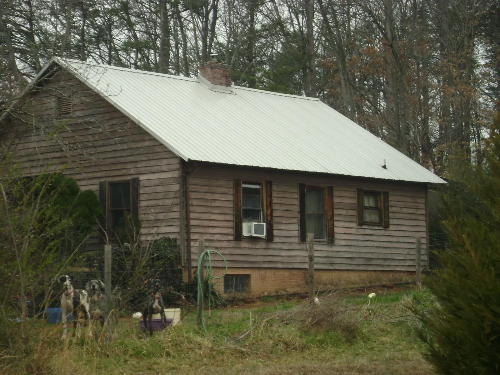 White metal roof on an old wood sided farmhouse, from a Asphalt Shingle Roof Repair job in Peru